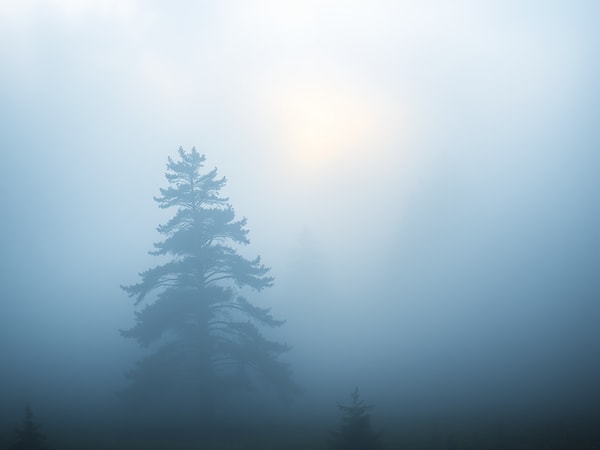 AI Foggy/Misty Scene Creator — Add Mist and Soft Fog
