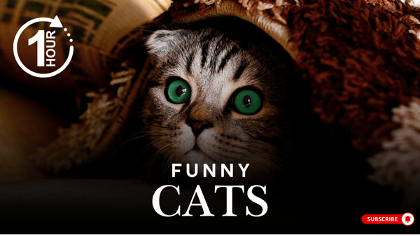 Thumbnail Generator